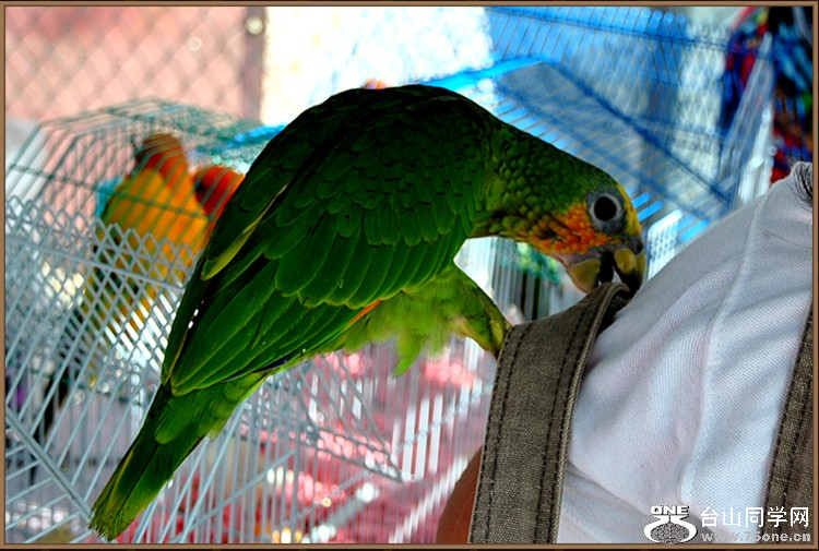 dsc_6708.jpg