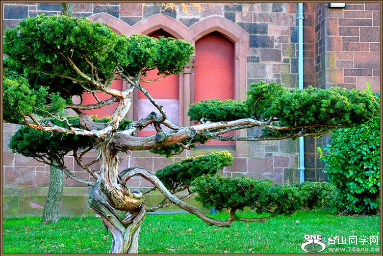 DSC_3462.JPG