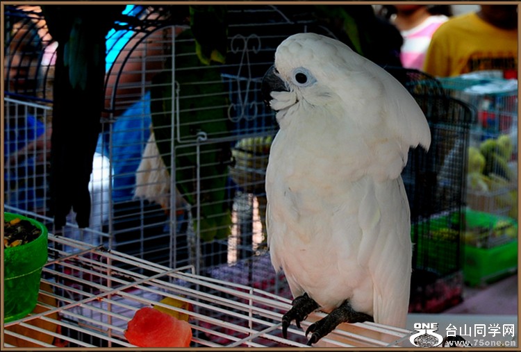 dsc_6698.jpg