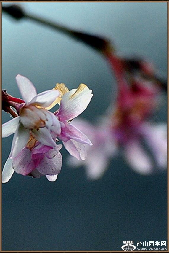 DSC_4479.JPG
