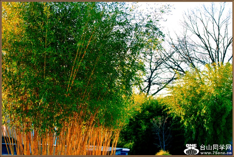 DSC_3506.JPG