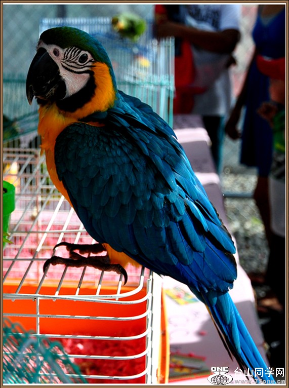 DSC_6686.jpg
