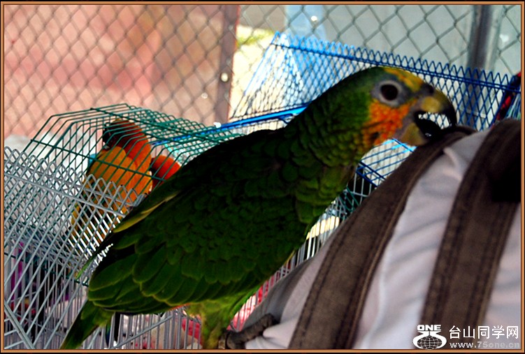 dsc_6706.jpg