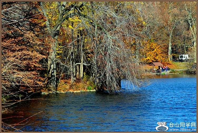 dsc_2549.jpg