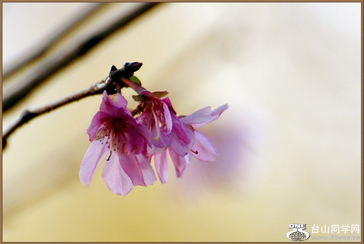 DSC_3520.JPG