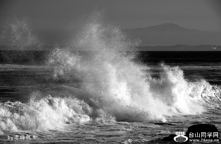 DSC_2952-3.jpg