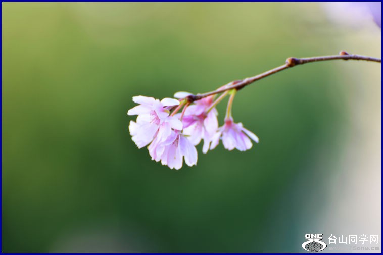 DSC_2752.JPG