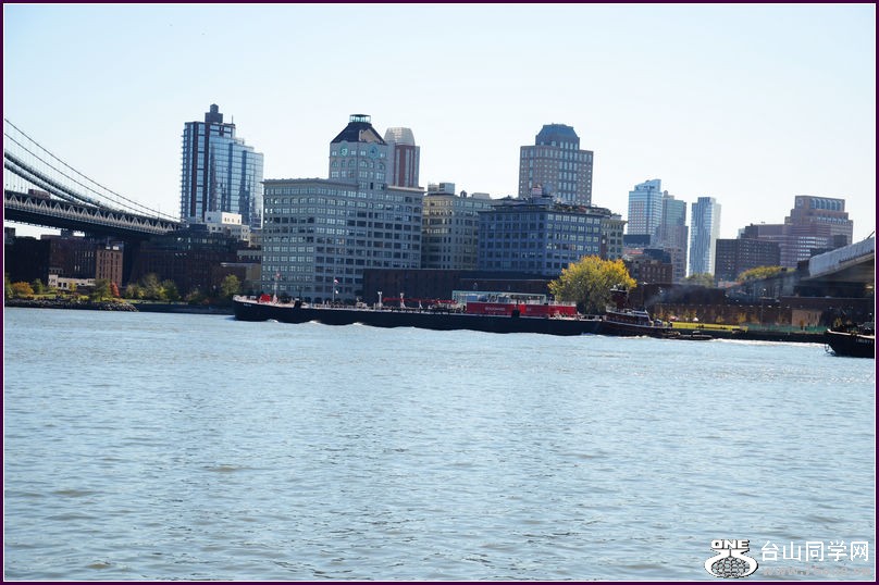 DSC_1585.JPG