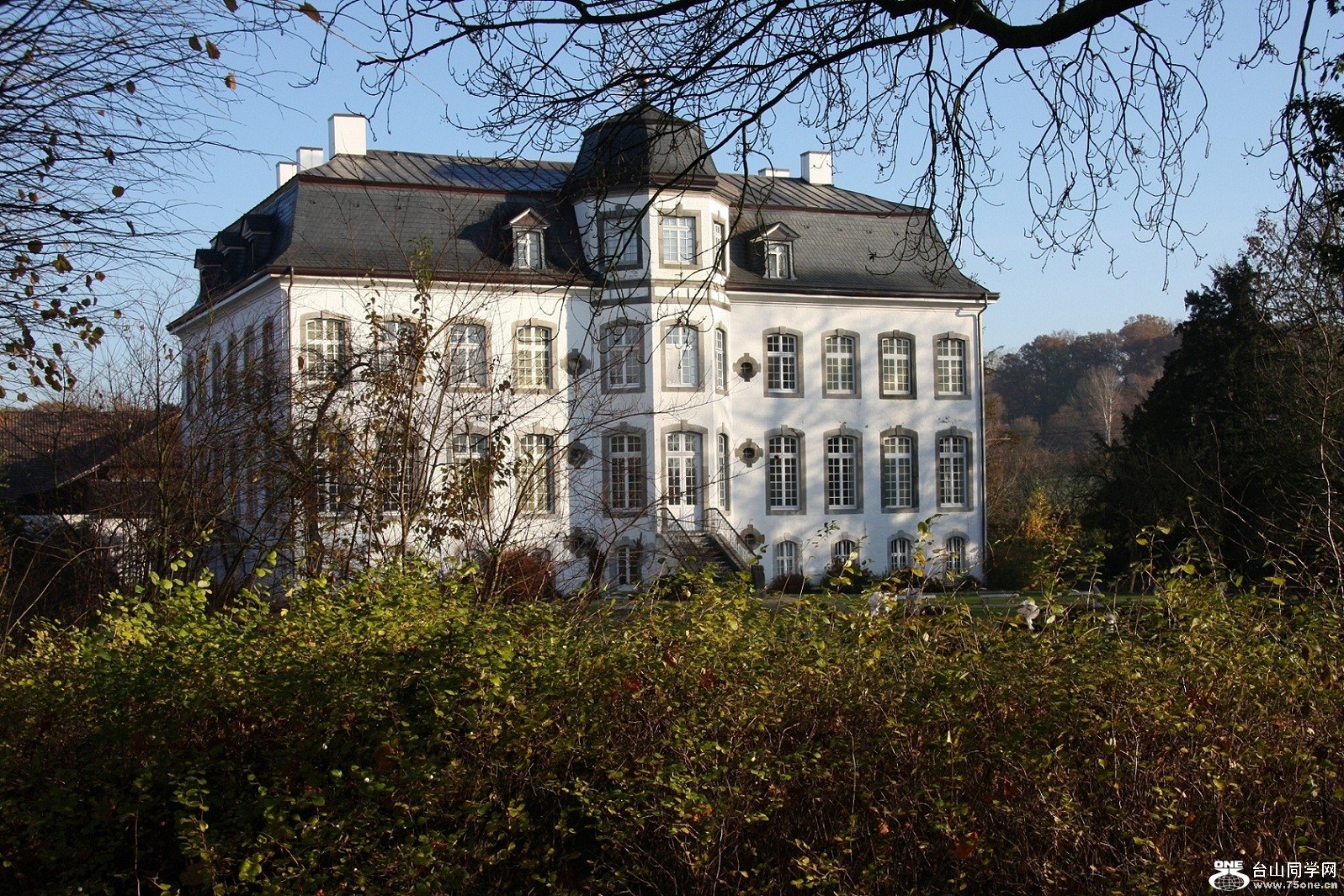 IMG_9584.JPG