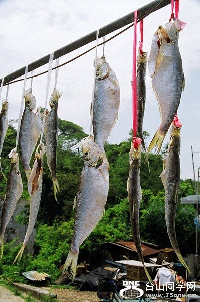 sun-dried fish.jpg