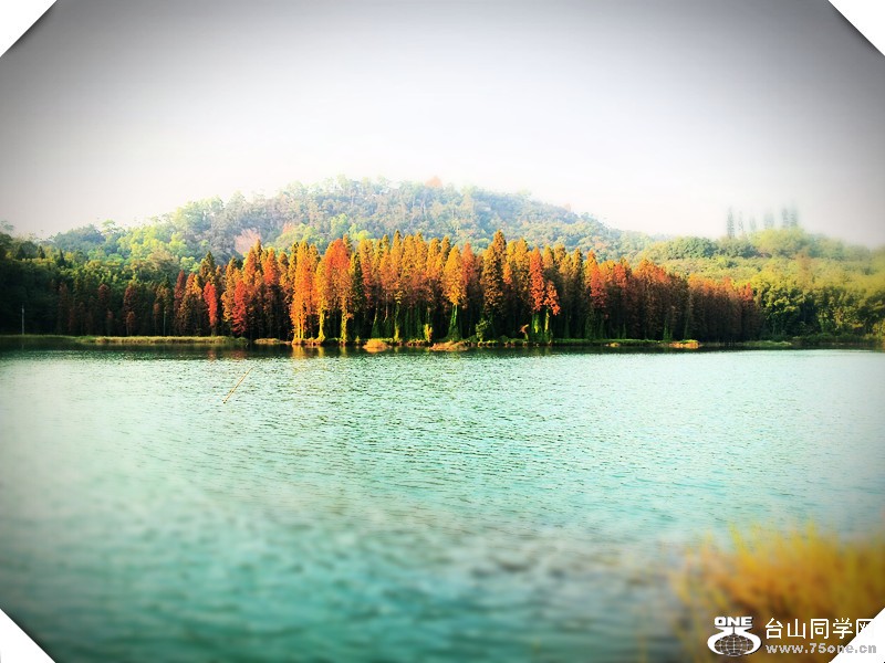 20111219_164218_.jpg