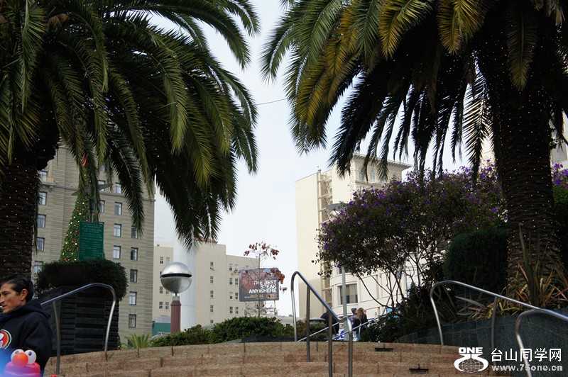 DSC00077_.jpg