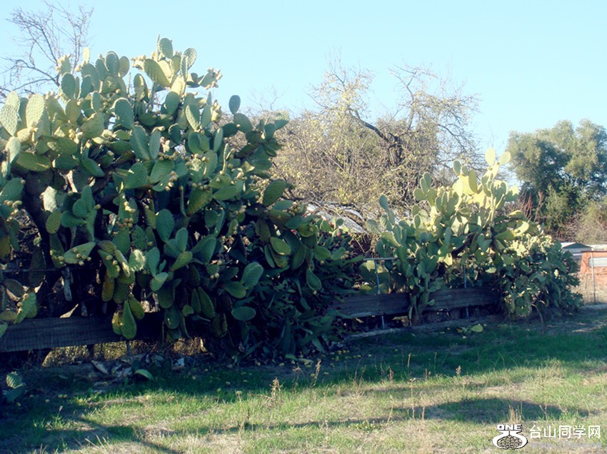 DSC02368_.jpg