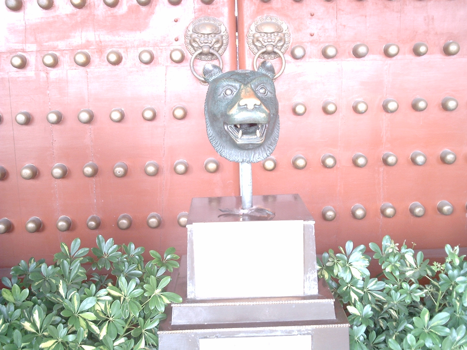 DSC_0189.JPG