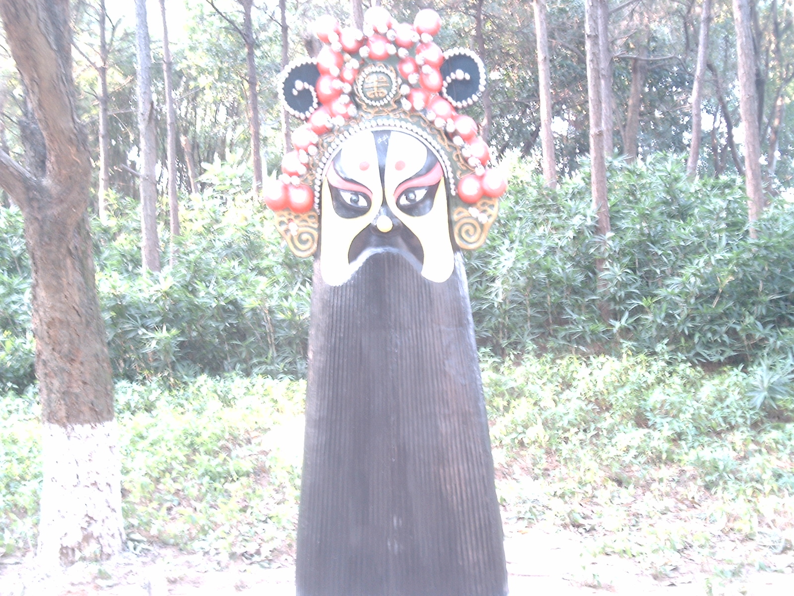 DSC_0204.JPG