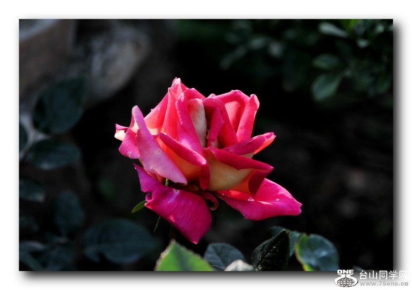 Ƭ 0291.jpg