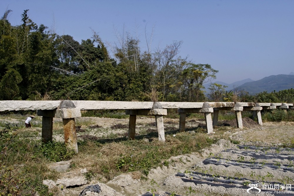 Ƭ 0381.jpg