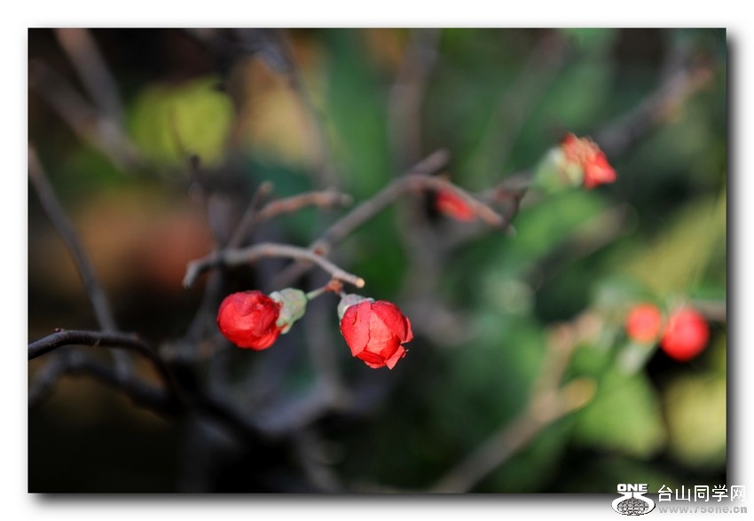Ƭ 0251.jpg