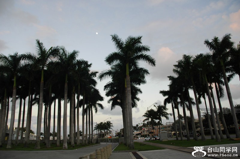 DSC_0156.jpg
