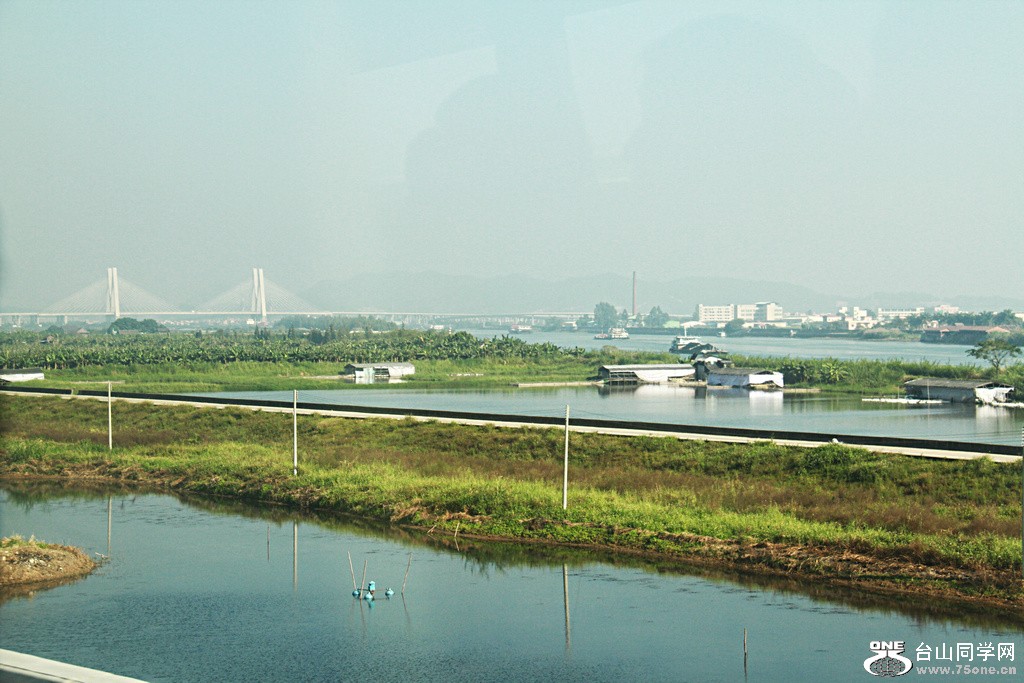 IMG_8227.jpg