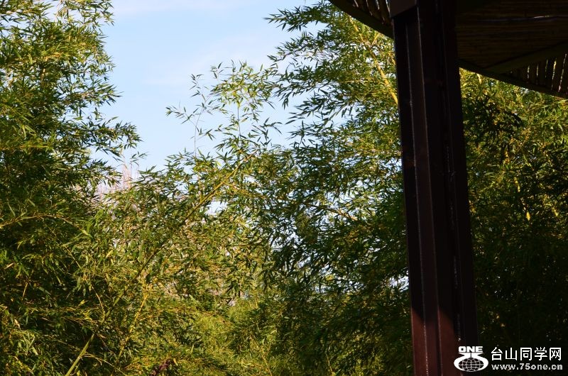 Zoo 070.jpg