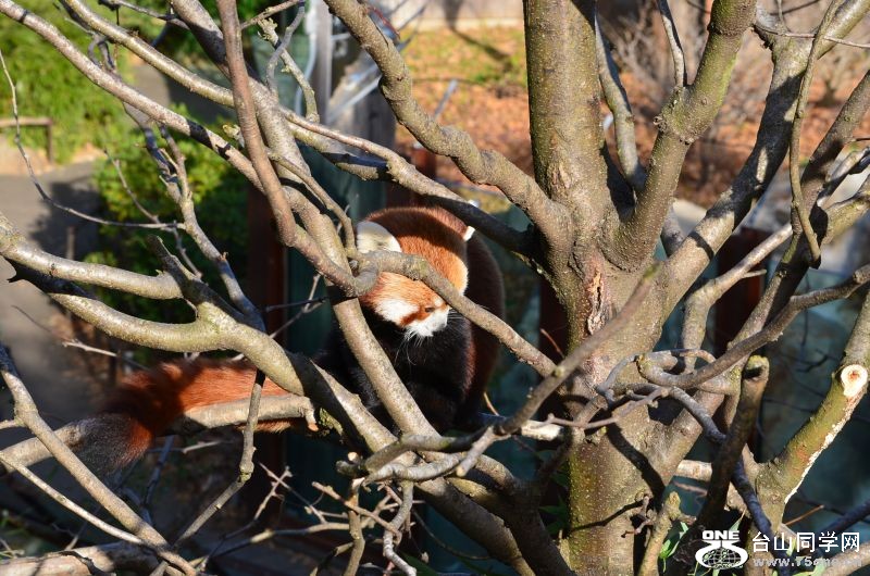 Zoo 080.jpg