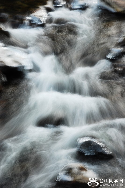 DSC_0146_5.jpg