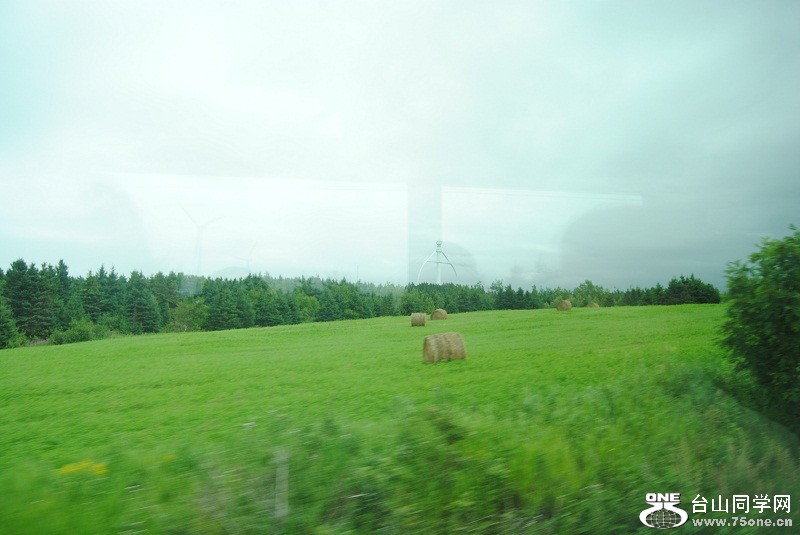 DSC_5459.JPG