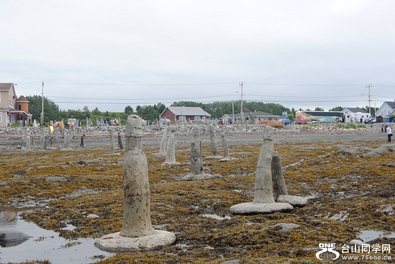 DSC_5586.JPG