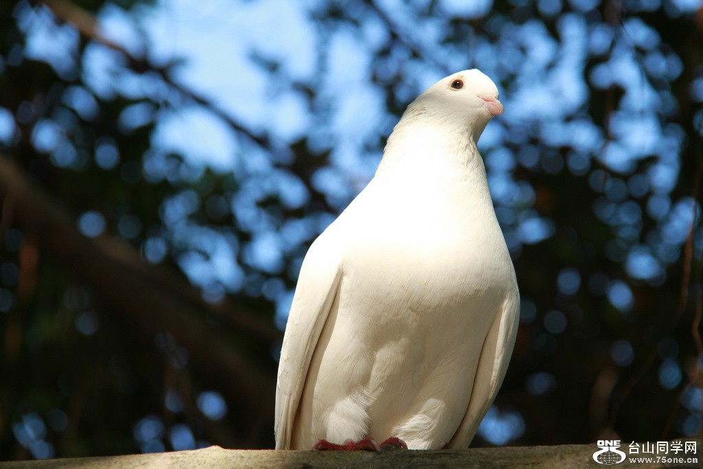 119.jpg