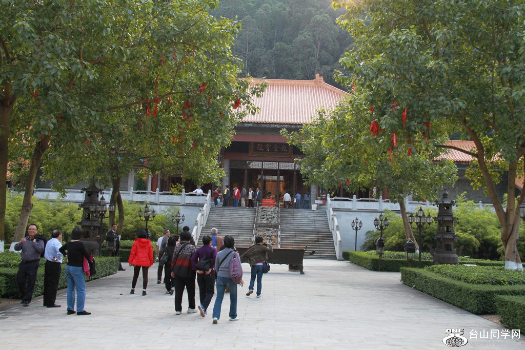 135.jpg