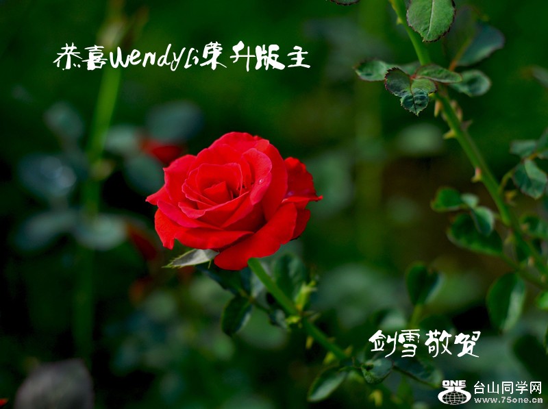 88_2459_240c039f372ed98_.jpg
