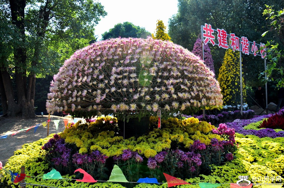 DSC_1608aa.jpg