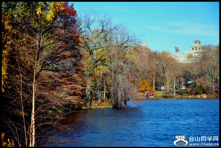 DSC_2548.JPG