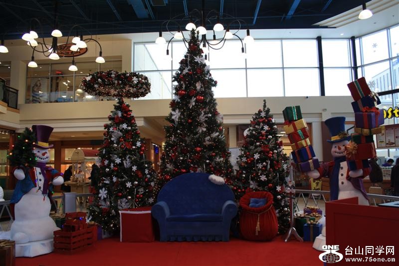 Picture 142 (Medium).jpg