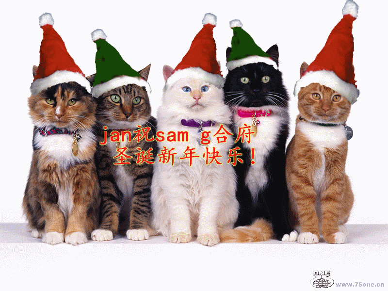 s.gif