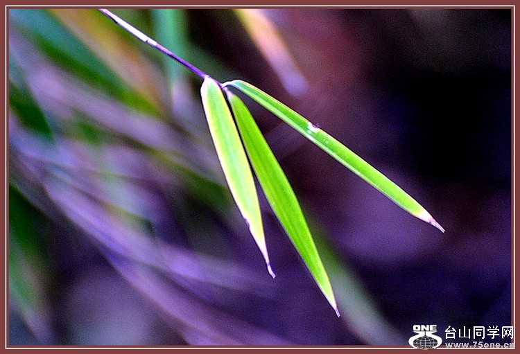 DSC_5887.JPG