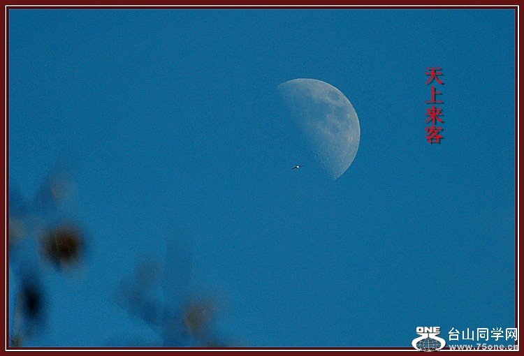 DSC_5904.JPG