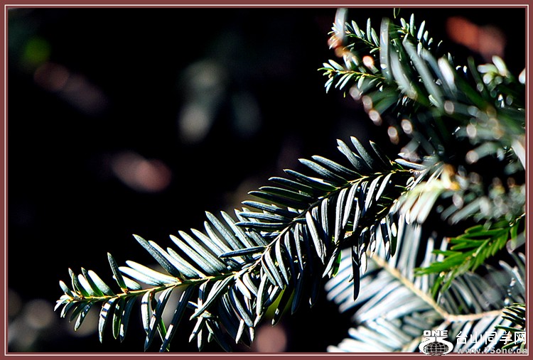 DSC_5829.JPG