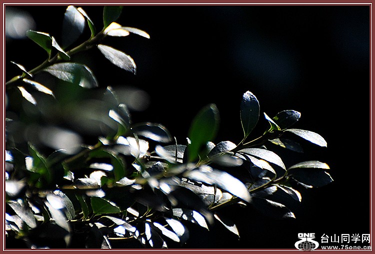 DSC_5852.JPG