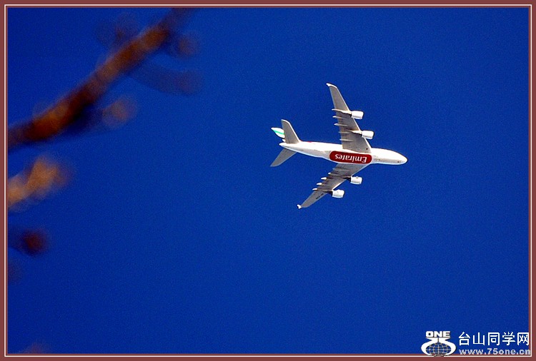 DSC_5912.JPG