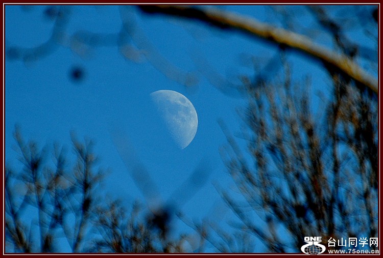 DSC_5909.JPG
