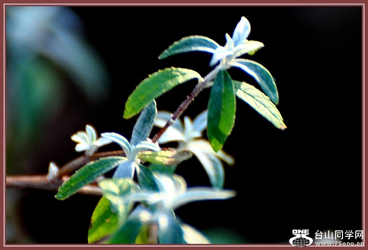 DSC_5855.JPG
