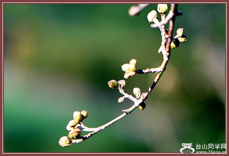 DSC_5824.JPG