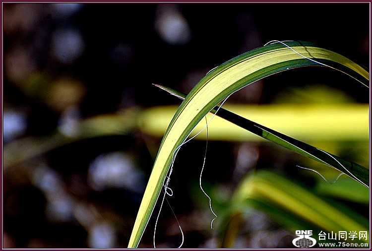 DSC_5873.JPG