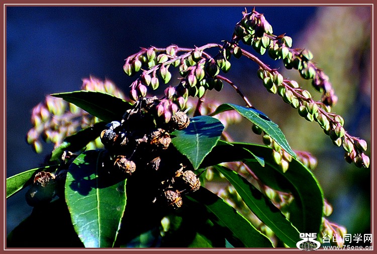 DSC_5845.JPG