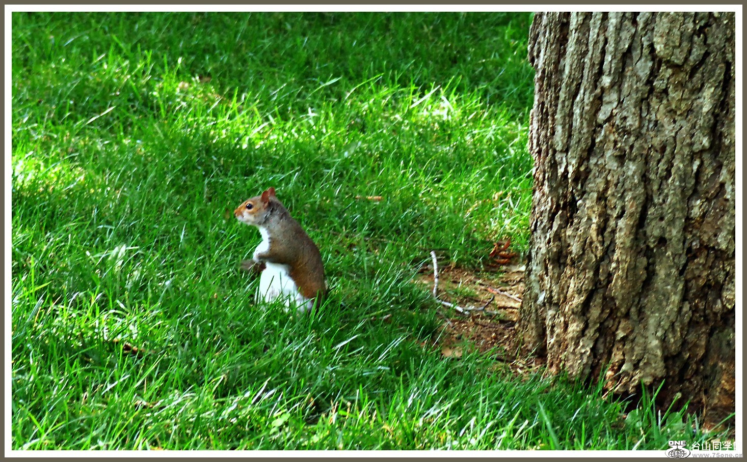DSC_0645.JPG