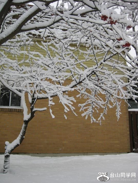 2008.1.1 canada -----6.JPG