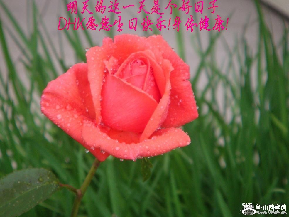 201042853844_conew3.jpg