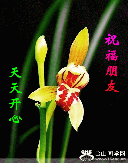 20090402_b3816cf2e993ad4ade1dpWqBTWALhXRn.gif
